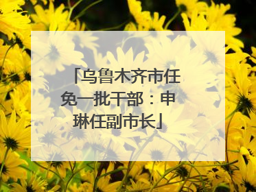 乌鲁木齐市任免一批干部：申琳任副市长