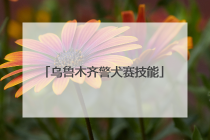 乌鲁木齐警犬赛技能
