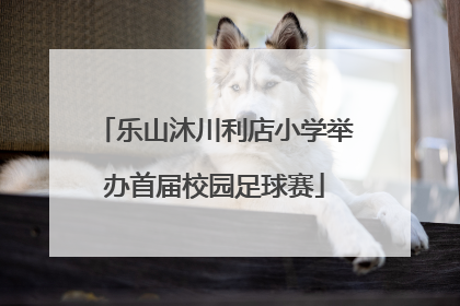 乐山沐川利店小学举办首届校园足球赛