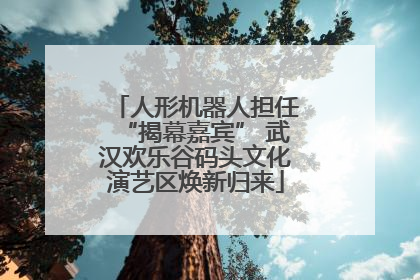 人形机器人担任“揭幕嘉宾” 武汉欢乐谷码头文化演艺区焕新归来