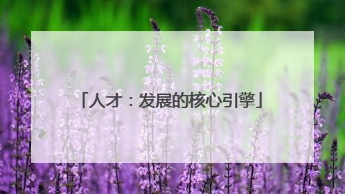 人才：发展的核心引擎