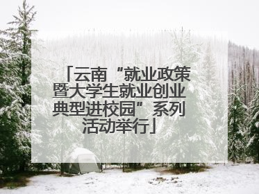 云南“就业政策暨大学生就业创业典型进校园”系列活动举行