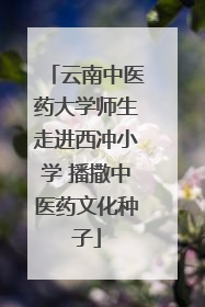 云南中医药大学师生走进西冲小学 播撒中医药文化种子