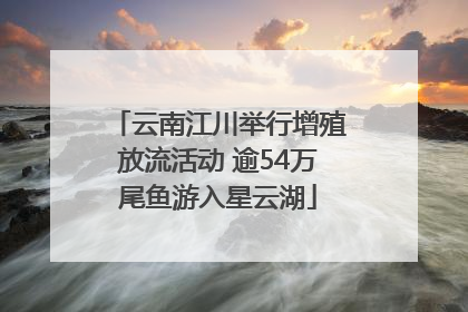 云南江川举行增殖放流活动 逾54万尾鱼游入星云湖