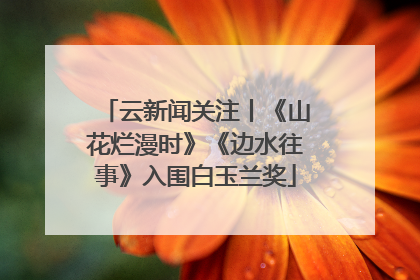 云新闻关注丨《山花烂漫时》《边水往事》入围白玉兰奖