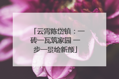 云霄陈岱镇：一砖一瓦筑家园 一步一景绘新颜