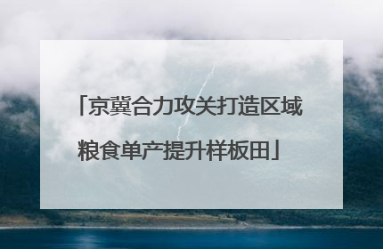京冀合力攻关打造区域粮食单产提升样板田