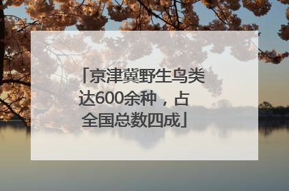 京津冀野生鸟类达600余种，占全国总数四成