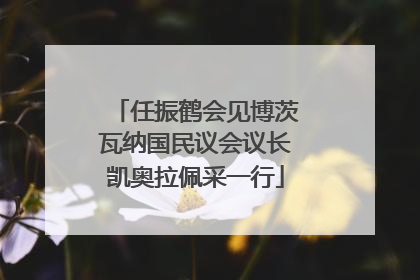 任振鹤会见博茨瓦纳国民议会议长凯奥拉佩采一行