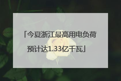 今夏浙江最高用电负荷预计达1.33亿千瓦
