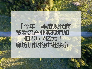 今年一季度现代商贸物流产业实现增加值205.7亿元！廊坊加快构建链接京津冀面向全世界的物流通道