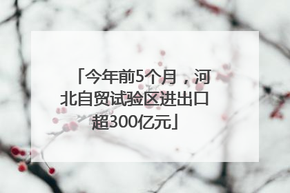 今年前5个月，河北自贸试验区进出口超300亿元