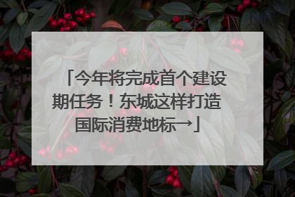今年将完成首个建设期任务！东城这样打造国际消费地标→