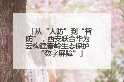 从“人防”到“智防”，西安联合华为云构建秦岭生态保护“数字屏障”