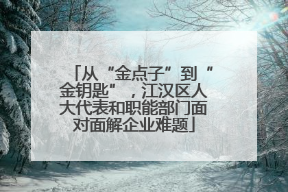 从“金点子”到“金钥匙”，江汉区人大代表和职能部门面对面解企业难题