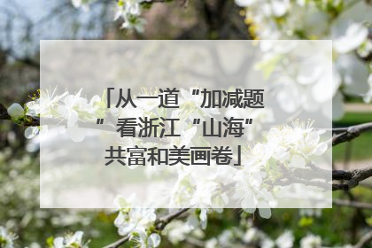 从一道“加减题”看浙江“山海”共富和美画卷