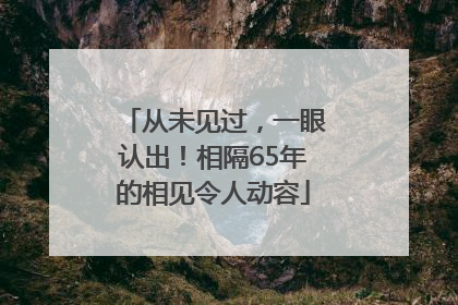 从未见过，一眼认出！相隔65年的相见令人动容