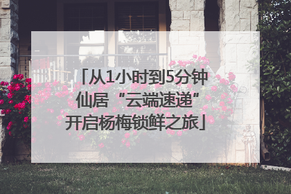 从1小时到5分钟 仙居“云端速递”开启杨梅锁鲜之旅