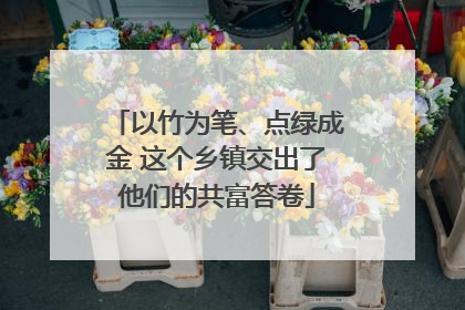 以竹为笔、点绿成金 这个乡镇交出了他们的共富答卷