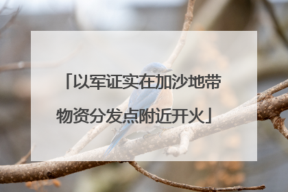 以军证实在加沙地带物资分发点附近开火