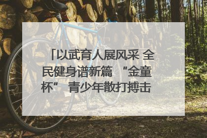 以武育人展风采 全民健身谱新篇 “金童杯” 青少年散打搏击邀请赛圆满落幕
