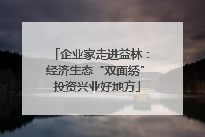 企业家走进益林：经济生态“双面绣” 投资兴业好地方