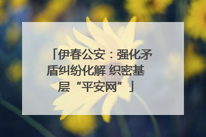 伊春公安：强化矛盾纠纷化解 织密基层“平安网”