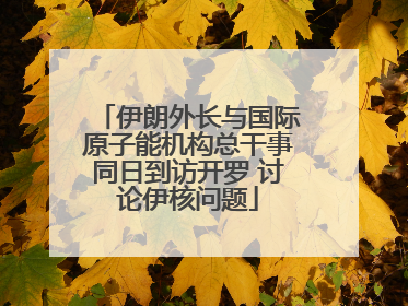 伊朗外长与国际原子能机构总干事同日到访开罗 讨论伊核问题