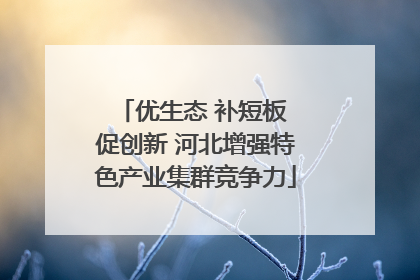 优生态 补短板 促创新 河北增强特色产业集群竞争力