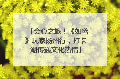 会心之旅！《如鸢》玩家扬州行，打卡潮传递文化热情