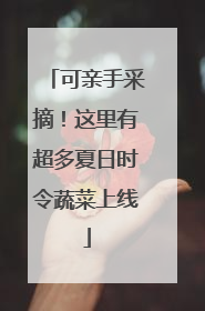 可亲手采摘！这里有超多夏日时令蔬菜上线