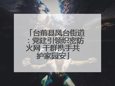 台前县凤台街道：党建引领织密防火网 干群携手共护家园安