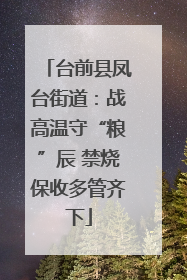 台前县凤台街道：战高温守“粮”辰 禁烧保收多管齐下