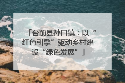 台前县孙口镇：以“红色引擎”驱动乡村建设“绿色发展”