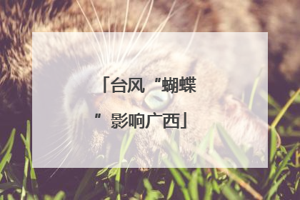 台风“蝴蝶”影响广西
