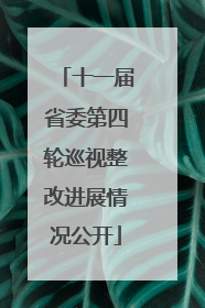 十一届省委第四轮巡视整改进展情况公开