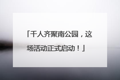 千人齐聚南公园，这场活动正式启动！