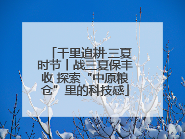 千里追耕·三夏时节丨战三夏保丰收 探索“中原粮仓”里的科技感