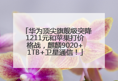 华为顶尖旗舰级突降1211元和苹果打价格战，麒麟9020+1TB+卫星通信！