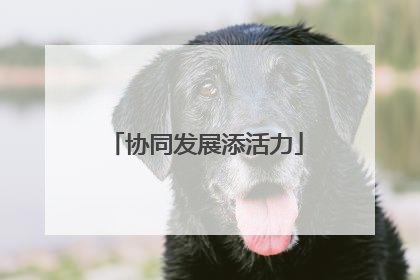 协同发展添活力