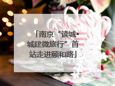 南京“读城•城建微旅行”首站走进颐和路