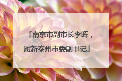 南京市副市长李晖，履新泰州市委副书记