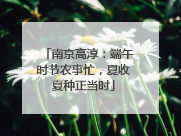 南京高淳：端午时节农事忙，夏收夏种正当时