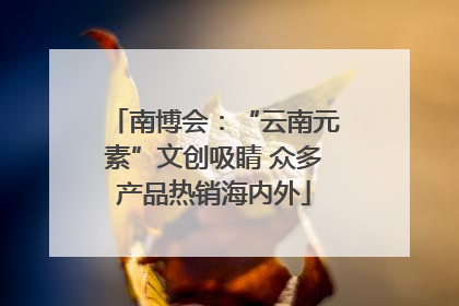 南博会：“云南元素”文创吸睛 众多产品热销海内外
