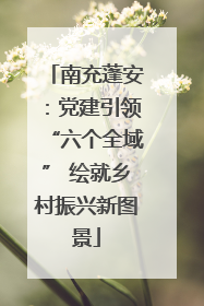 南充蓬安：党建引领“六个全域” 绘就乡村振兴新图景
