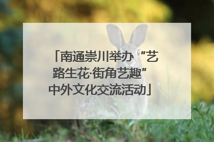 南通崇川举办“艺路生花·街角艺趣”中外文化交流活动