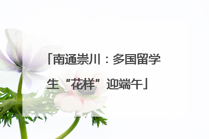 南通崇川：多国留学生“花样”迎端午