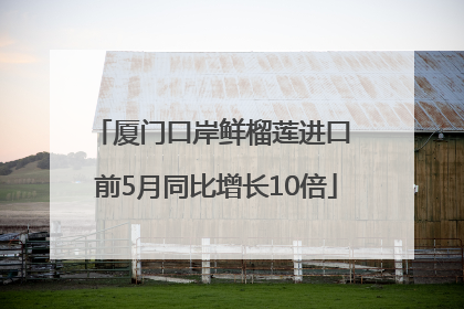 厦门口岸鲜榴莲进口 前5月同比增长10倍