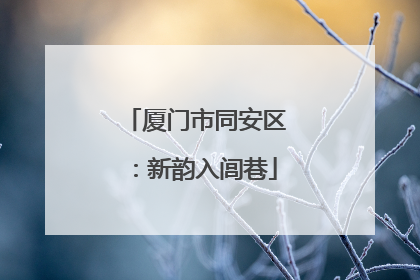 厦门市同安区：新韵入闾巷