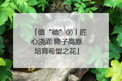 值“德”③丨匠心浇灌 隆子高原培育希望之花